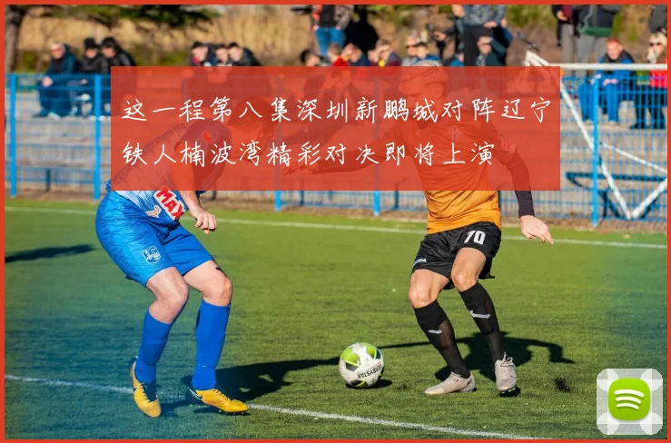 这一程第八集深圳新鹏城对阵辽宁铁人楠波湾精彩对决即将上演